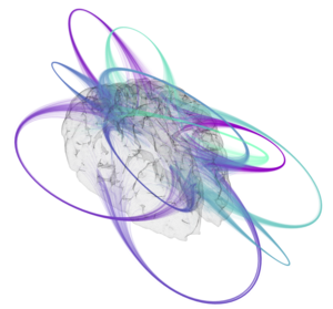 Design of a visualization scheme for functional connectivity data of Human Brain